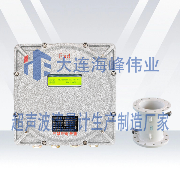 防爆CT6管段式超声波流量计