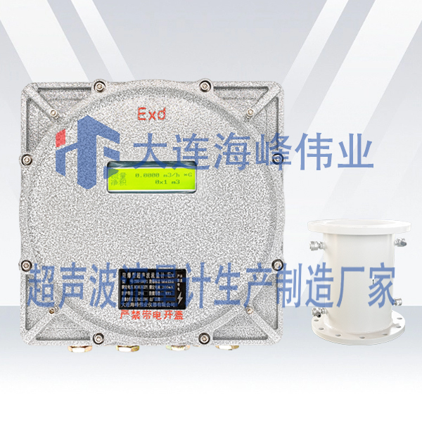 双声道防爆式CT6超声波流量计管段式
