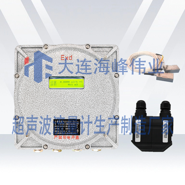 单声道防爆式CT6超声波热量表外夹式