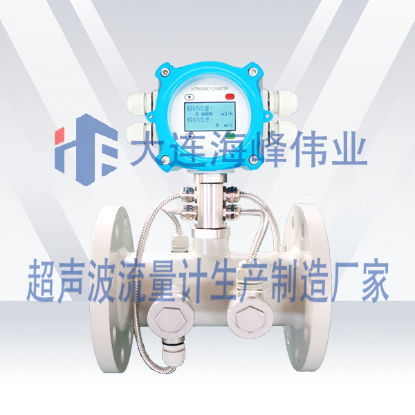 双声道电池供电IP68一体管段式超声波流量计