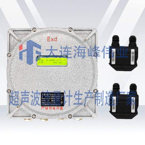 双声道防爆式CT6超声波流量计外夹式