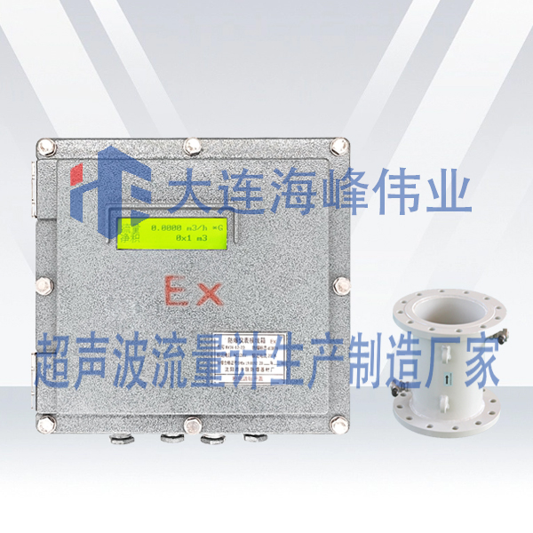 防爆BT6管段式超声波流量计