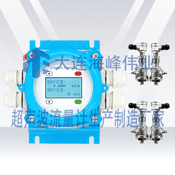 双声道电池供电IP68型超声波流量计插入式