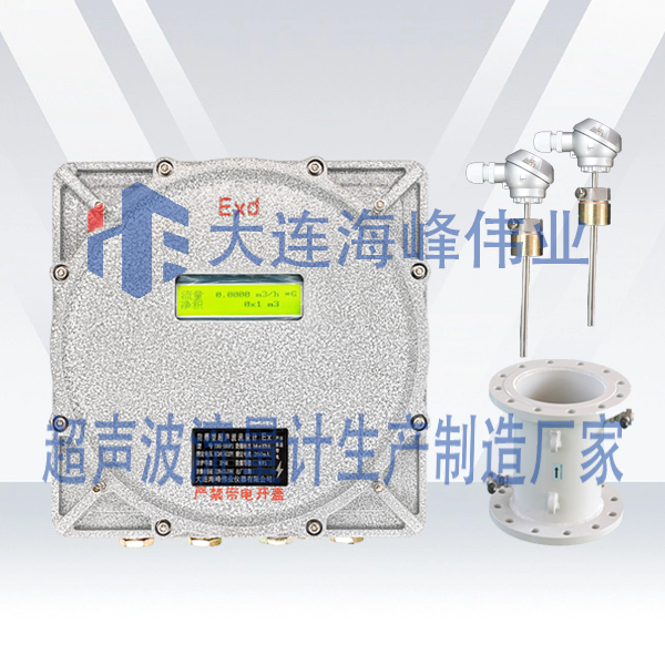 单声道防爆式CT6超声波热量表管段式