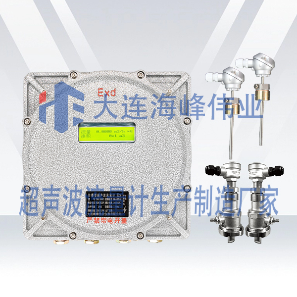 单声道防爆式CT6超声波热量表插入式