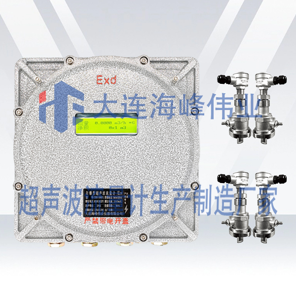 双声道防爆式CT6超声波流量计插入式
