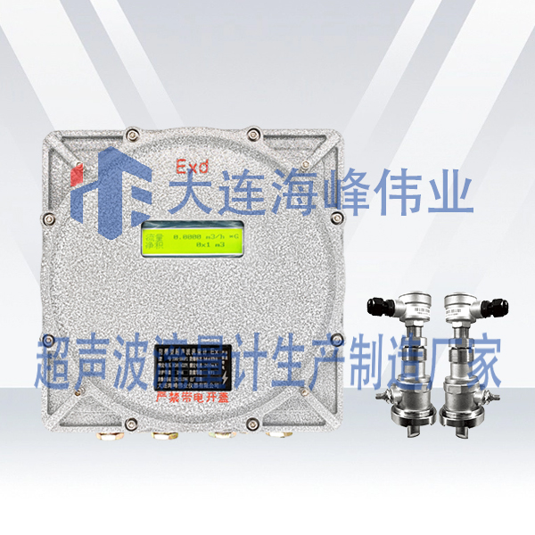 防爆CT6插入式超声波流量计