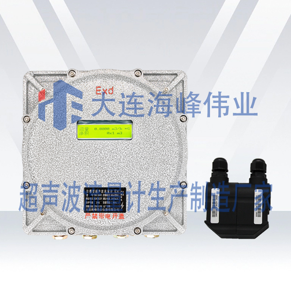 防爆CT6外夹式超声波流量计