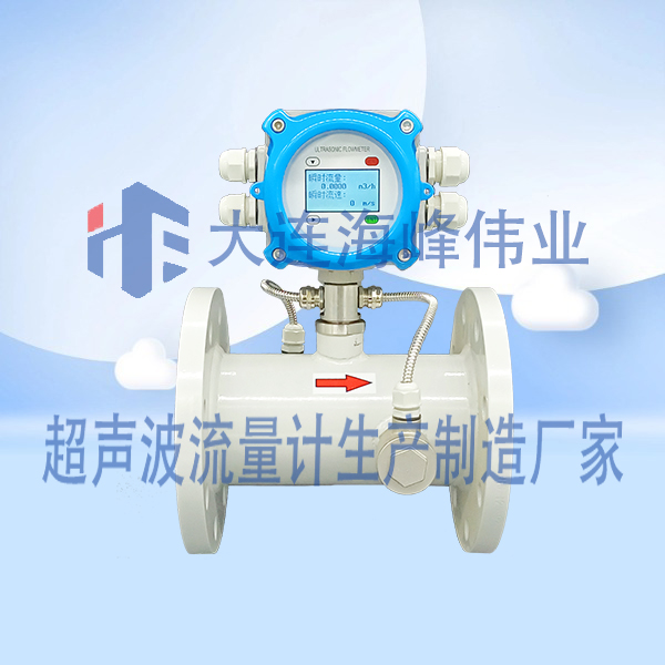 电池供电IP68一体管段式超声波流量计