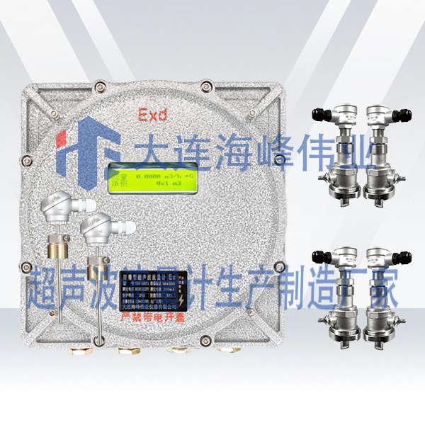 双声道防爆式CT6超声波热量表插入式