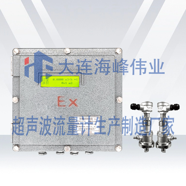 防爆BT6插入式超声波流量计